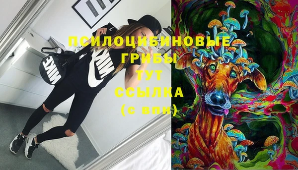 стафф Абаза