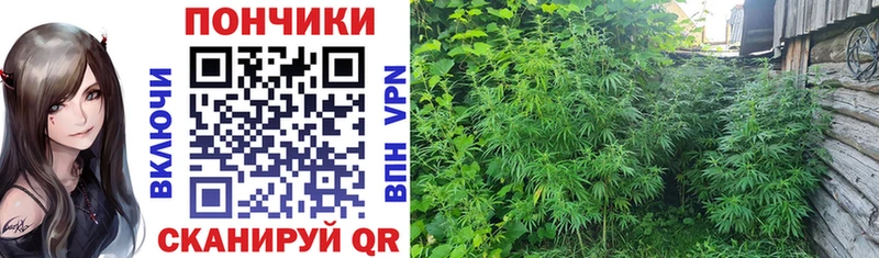 МЕГА ссылка  Агрыз  Бошки марихуана Ganja 